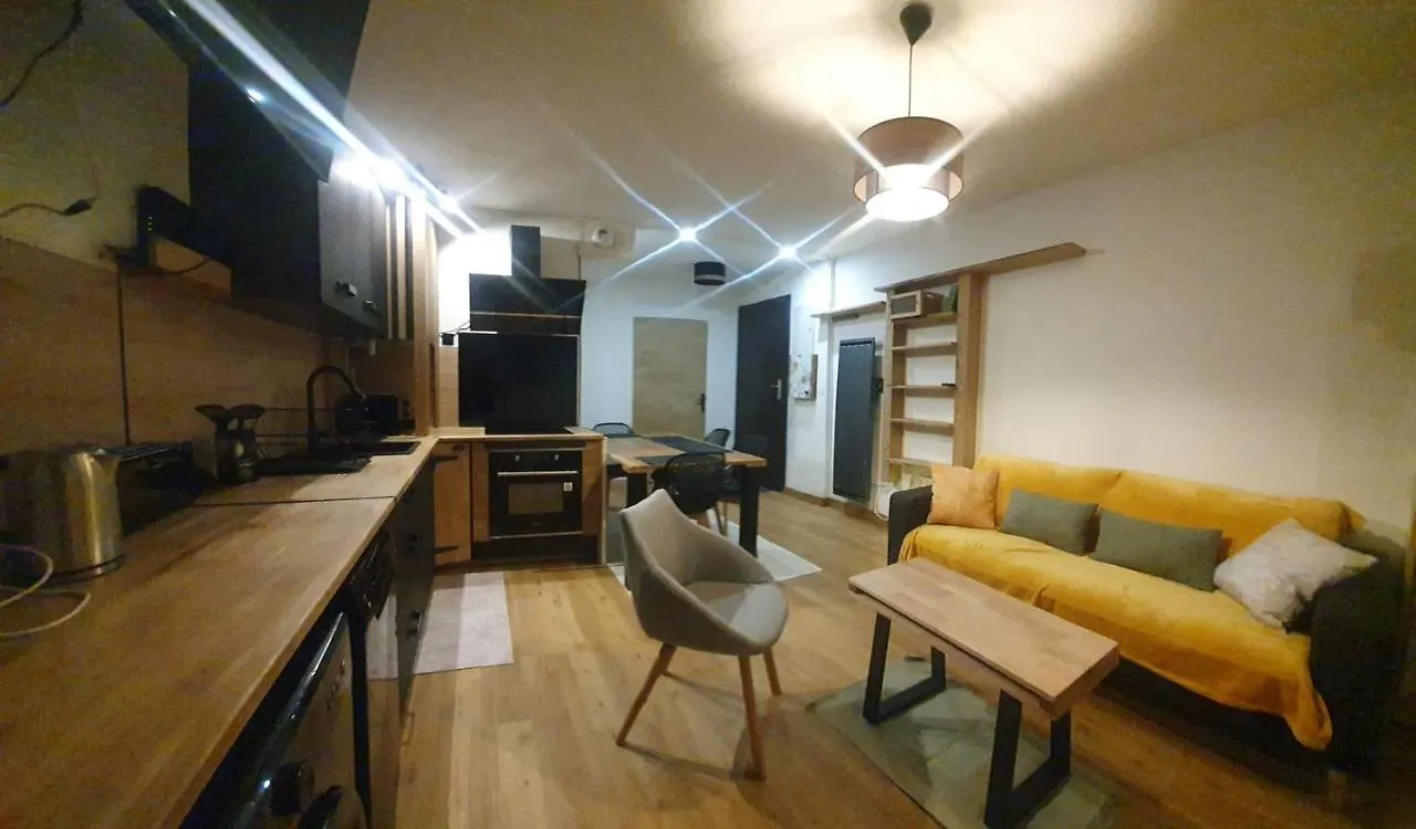 Appartement Rez De Jardin Proche Du Centre Ville De 사르주