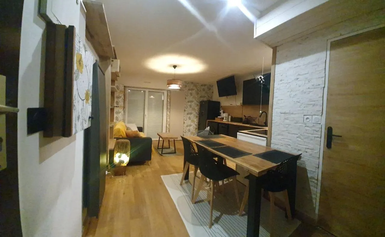 Appartement Rez De Jardin Proche Du Centre Ville De 萨尔佐 公寓